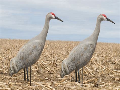 sx decoys for sale